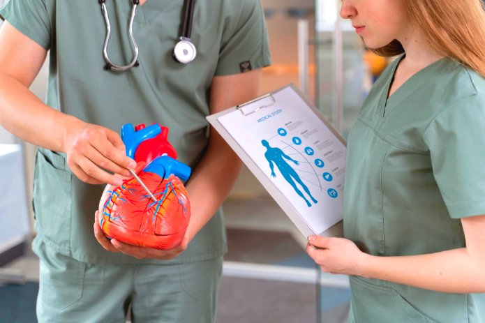 Healthy Heart, Healthy Life: Embracing Cardiovascular Fitness