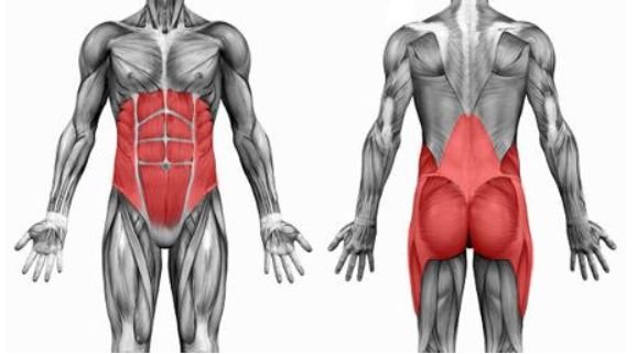 A weak core leads to nothing" 13 methods of freehand core strength training
