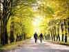 10 little habits that will make you live healthier, force yourself to develop them!